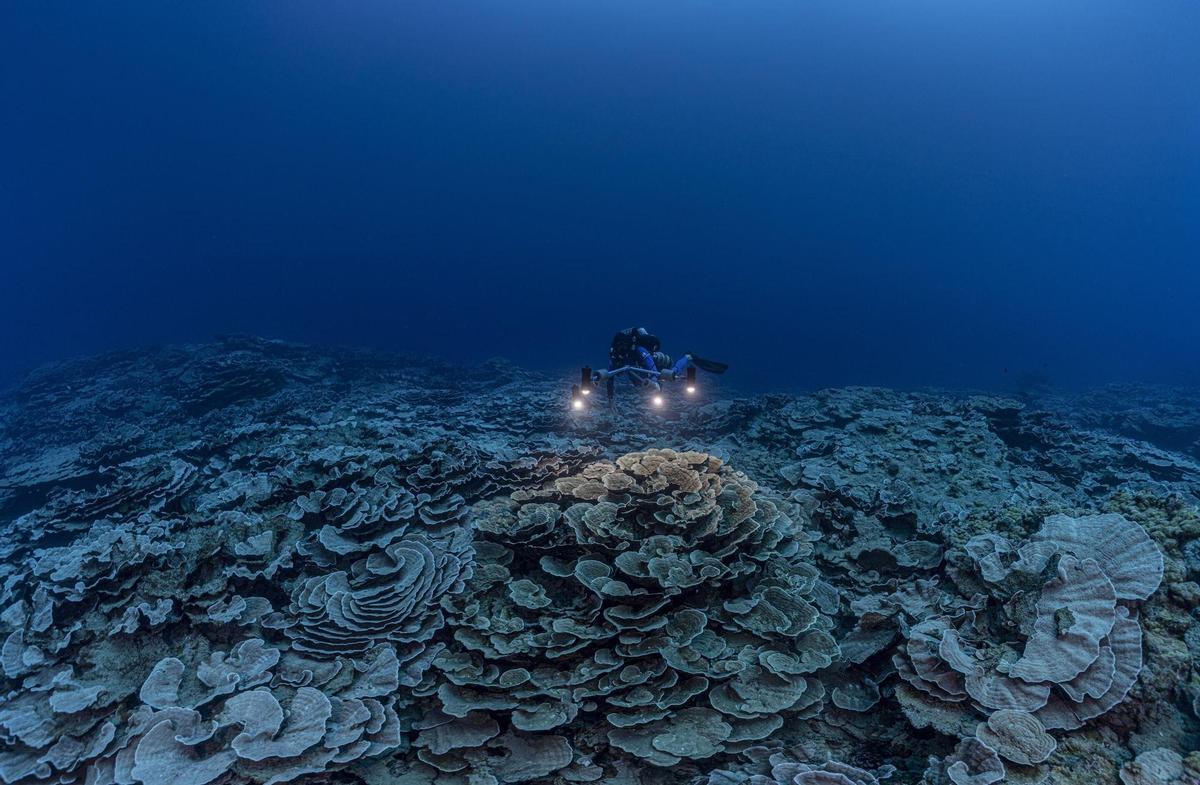 Panorámica del arrecife