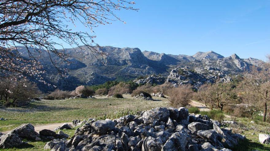 La sierra de Camarolos, una de las zonas en las que ha trabajado la Universidad de Málaga.