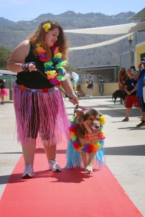 La Protectora celebra una jornada de puertas abiertas