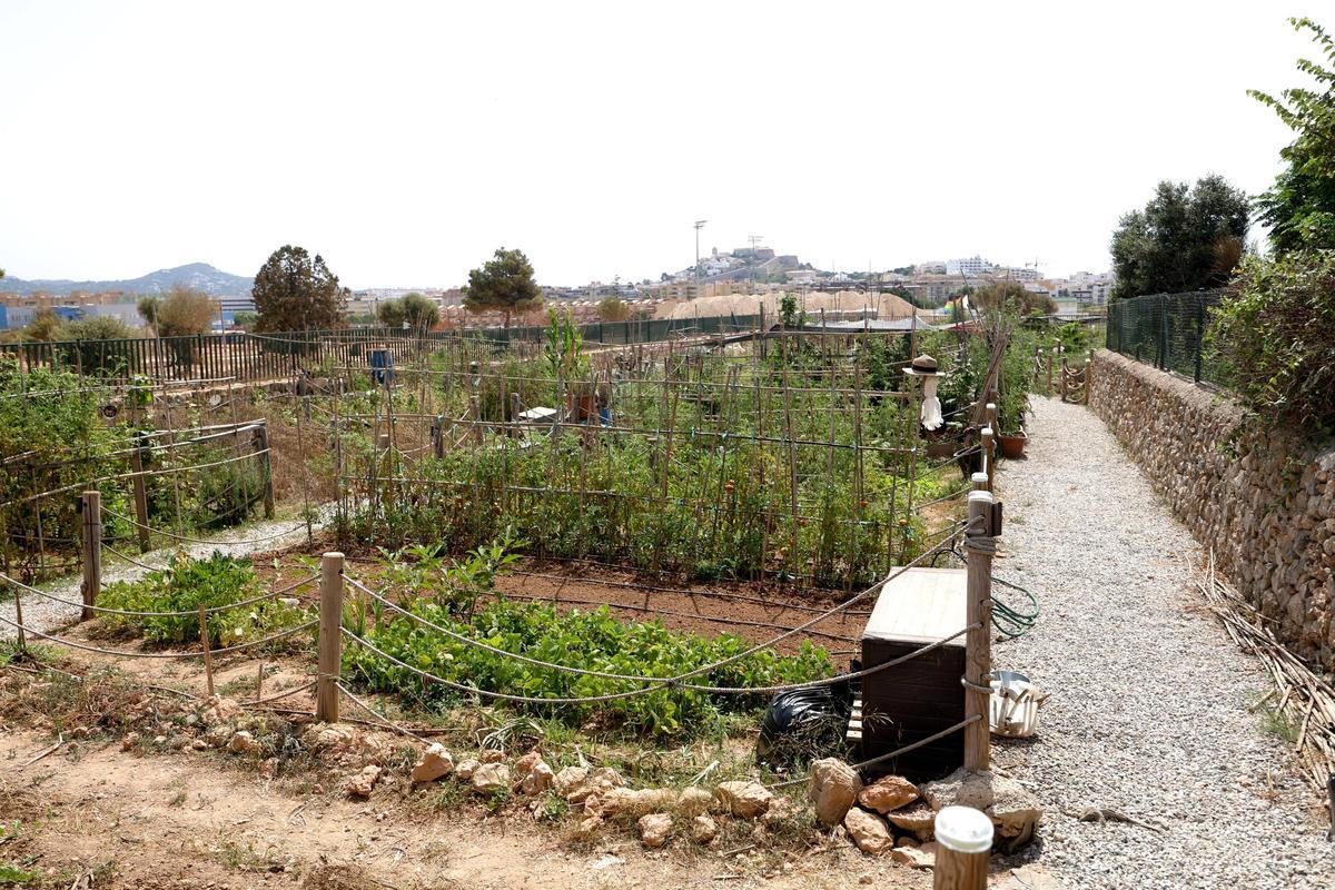 Huerta de Can Tomeu.