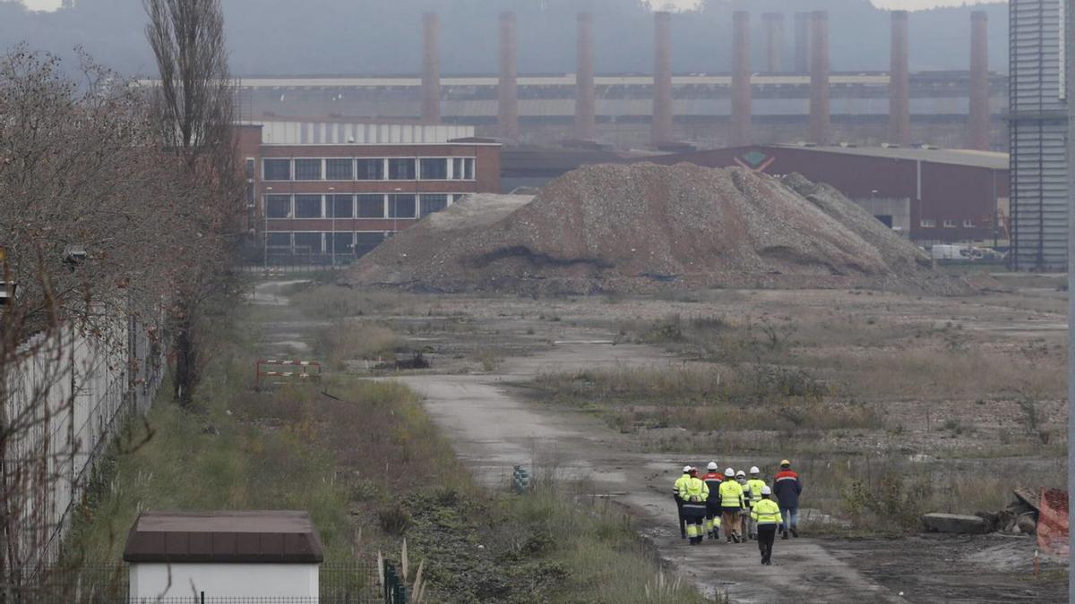 Personal de la Autoridad Portuaria en los terrenos de Baterías. | MARA VILLAMUZA