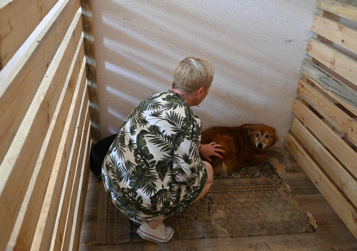 La veterinaria Nataliya Mazur examina a un perro en el refugio temporal para animales instalado en Kiev.