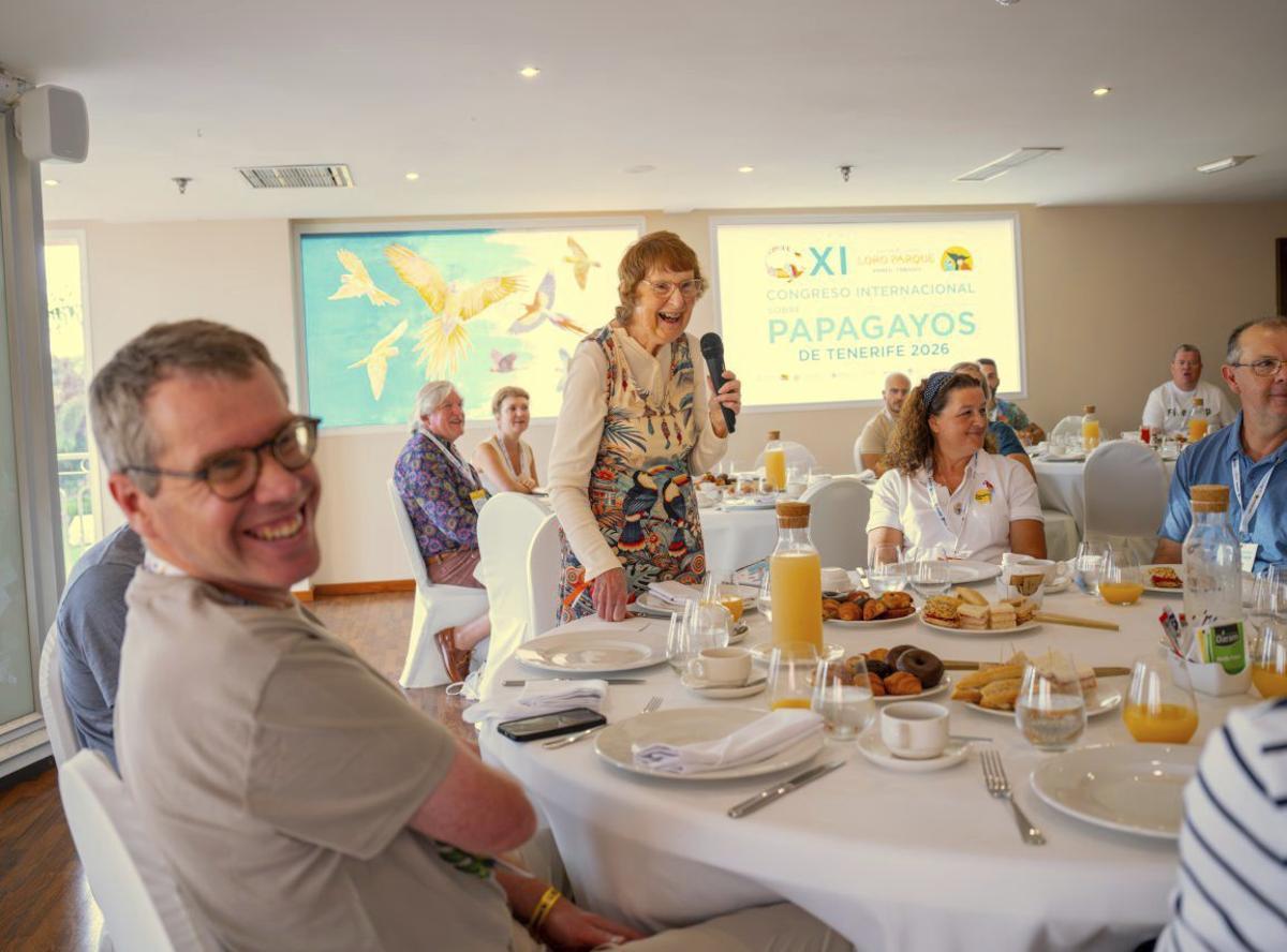Canarias, capital mundial de los papagayos