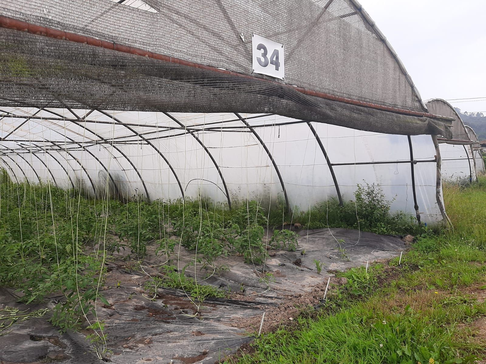 Así es Rural Ecolab, un paraíso de producción ecológica en Llanera