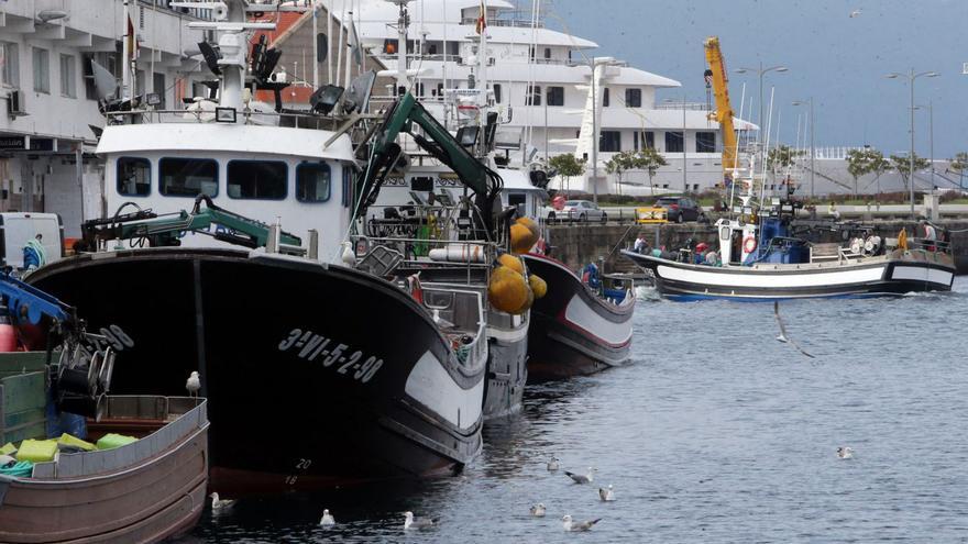 El cerco luso y gallego planean certificar la sardina que capturan para aumentar ventas