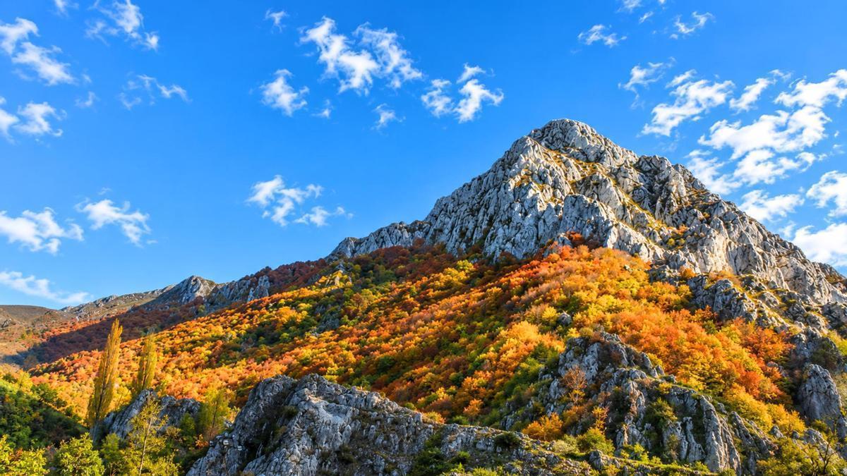 Esta Reserva es un espectáculo único en otoño.