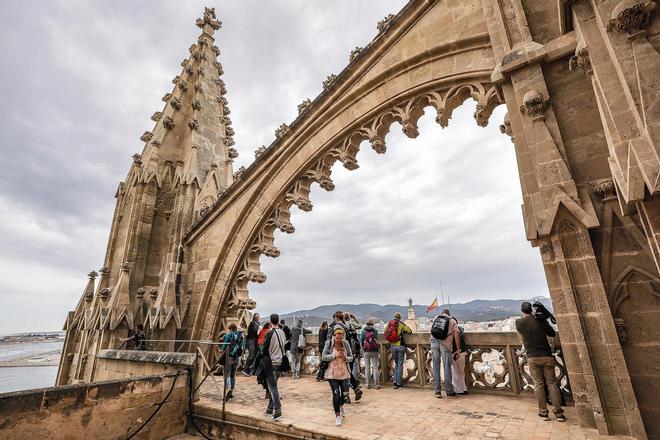 Las mejores fotos de las visitas a las terrazas de la Catedral de Mallorca