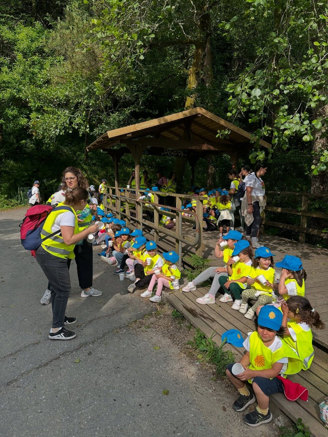 La peregrinación de los niños del CRA de Valga por el Camiño Portugués.