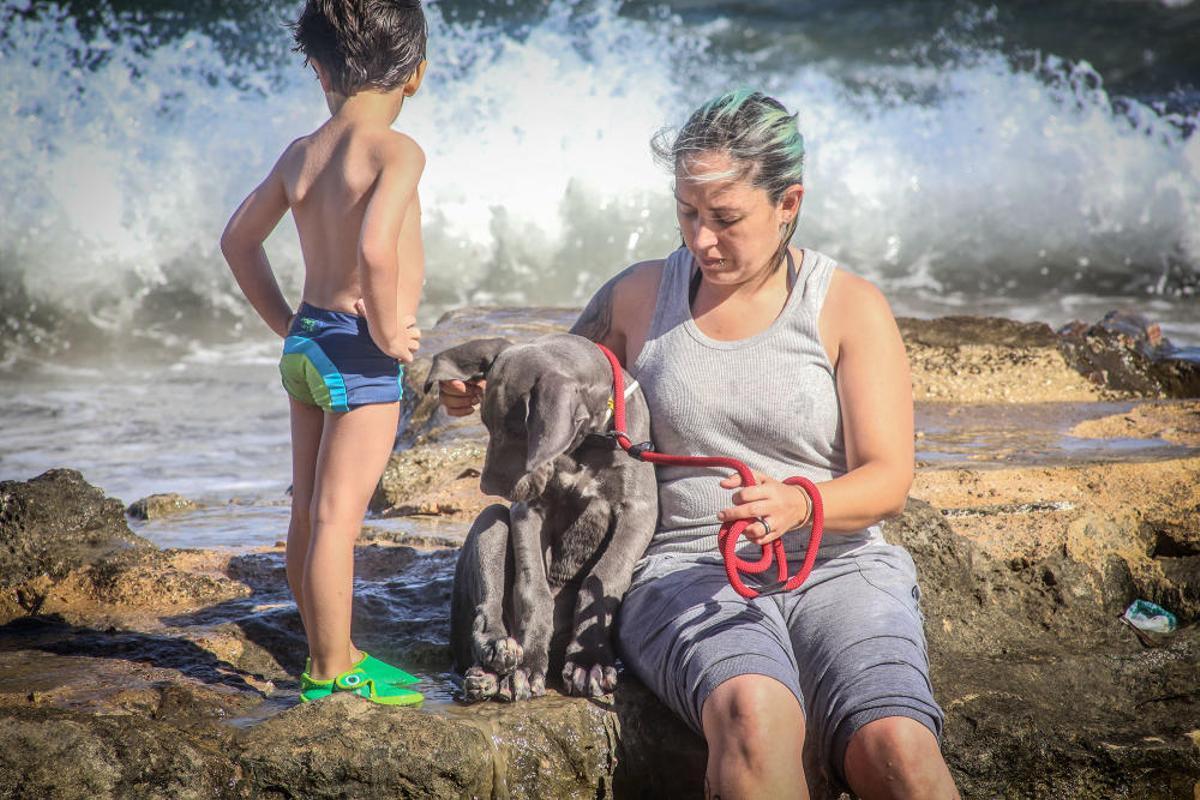 Docenas de usuarios de las playas acompañados de sus perros acudieron a Punta Margallo a pedir respeto y civismo en estos tramos litorales tras los "actos de sabotaje" de las señalizaciones