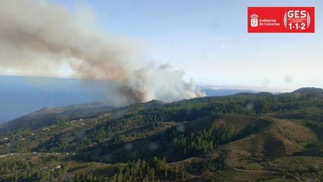 Incendio en Puntagorda (La Palma)