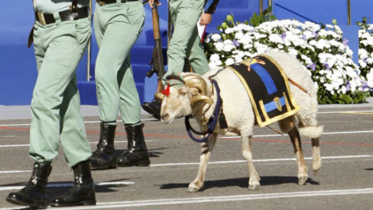 La cabra de la Legión, en el desfile del Día de la Hispanidad del 2007