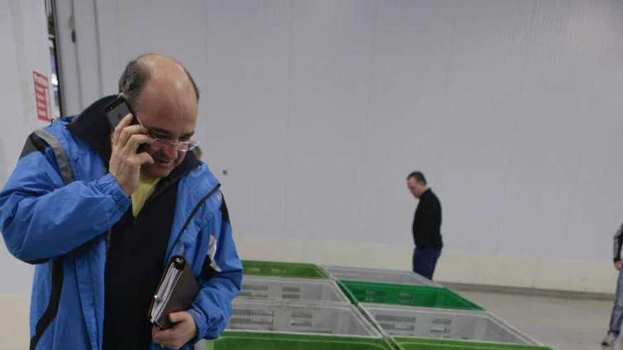 Bonitos en la cancha de la lonja de El Musel.