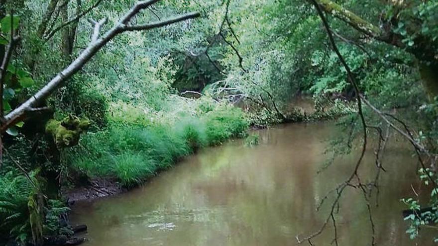 Aguas turbias en el río Asneiro tras una tormenta.  // Antonio Presas