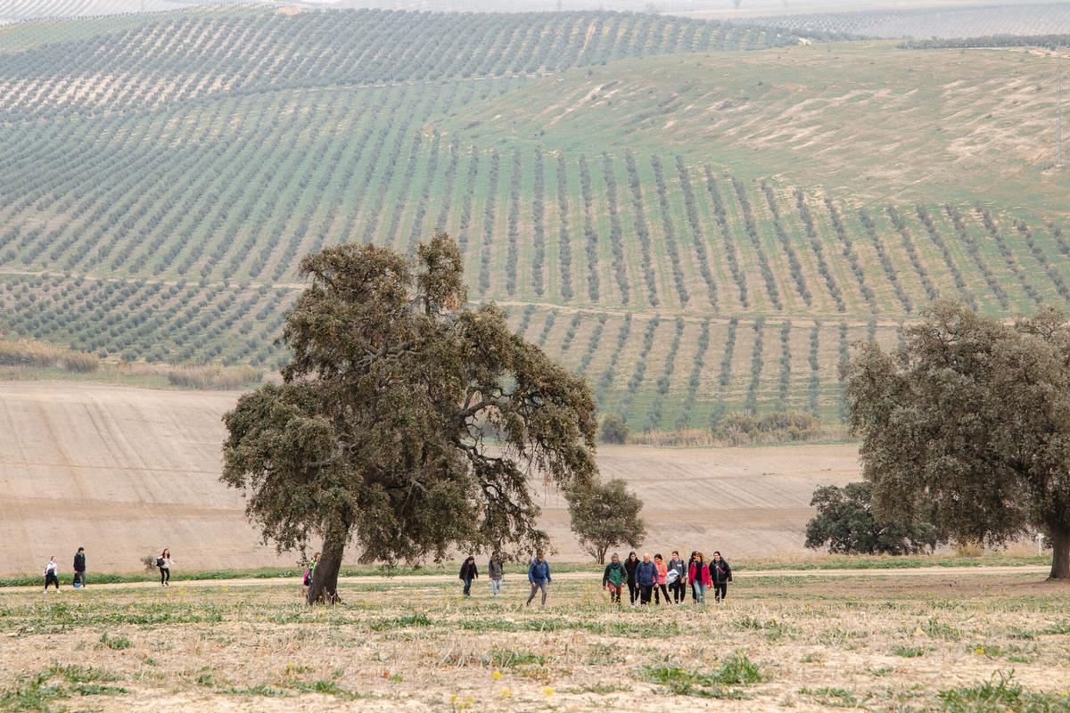 La Ruta del Vino Montilla-Moriles, premiada como Mejor Destino Enoturístico Sostenible