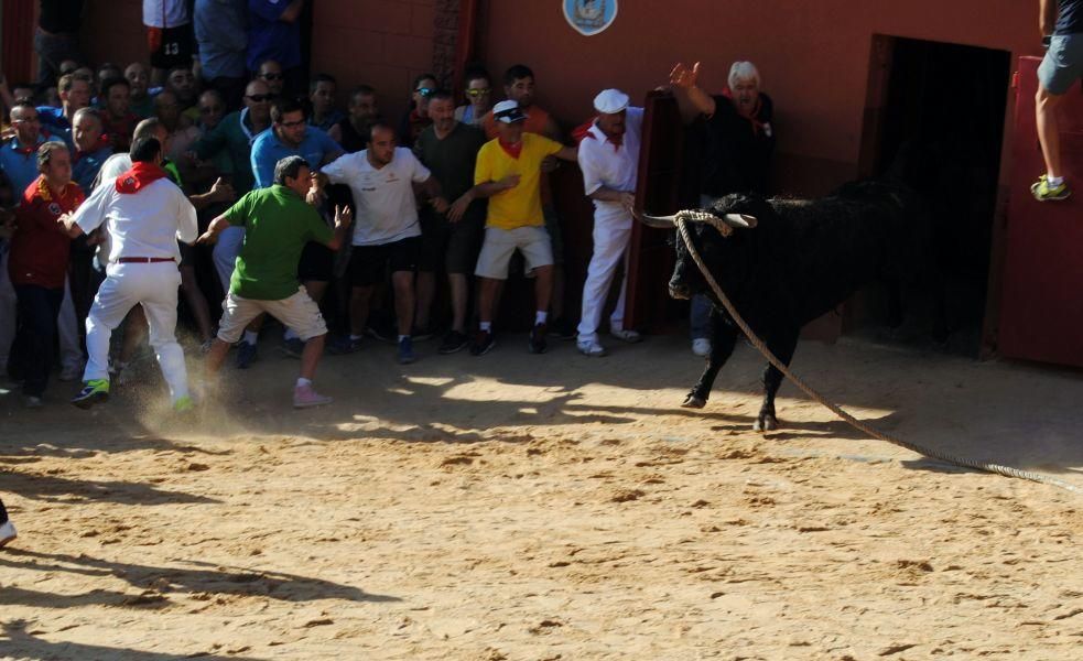 Toro Enmaromado Benavente: "Tapador" se rinde al c