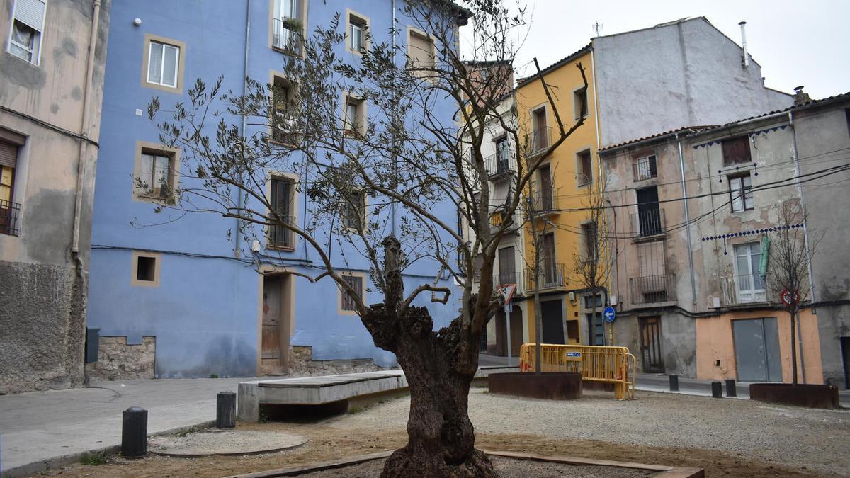 L&#039;Arbre dels desitjos que s&#039;ha situat al carrer Aiguader de Manresa