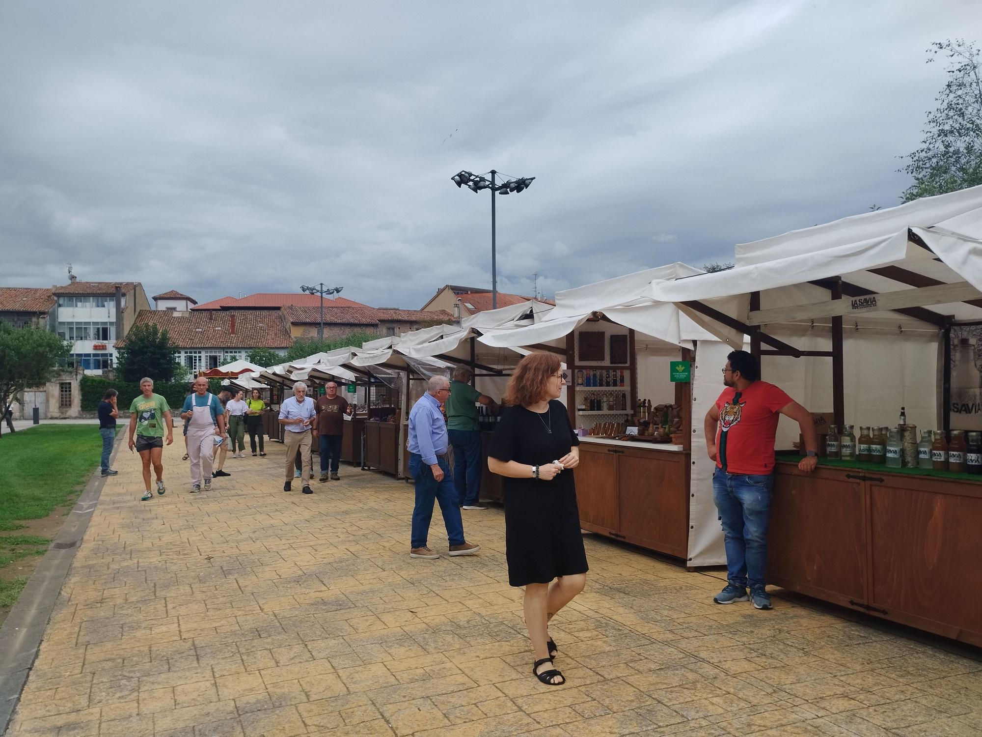 Villaviciosa esquiva la lluvia en el Mercado Artesano y Ecológico, en imágenes