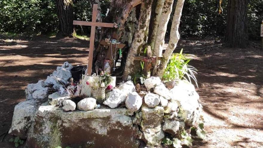 Aquelarres, brujas y un &quot;Hombre Santo&quot; en Tenerife: el aceviño rodeado de pinos y cruces donde se instala una leyenda