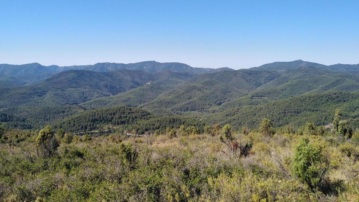 En plena Serra d’Espadà, la imagen muestra el principal riesgo de la provincia: la gran continuidad boscosa.
