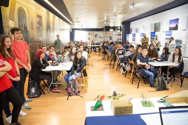 El Museo Elder acoge la quinta edición de Ciberlandia