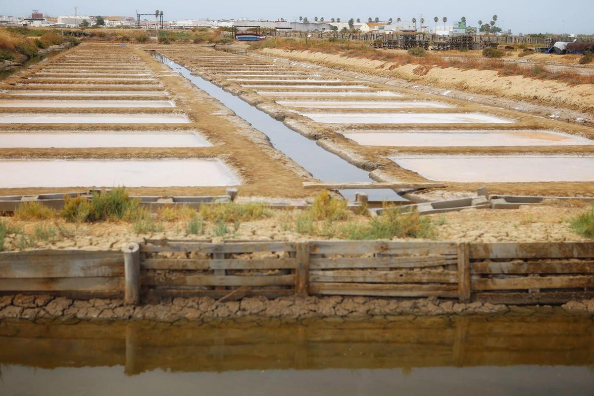 Salinas del Alemán