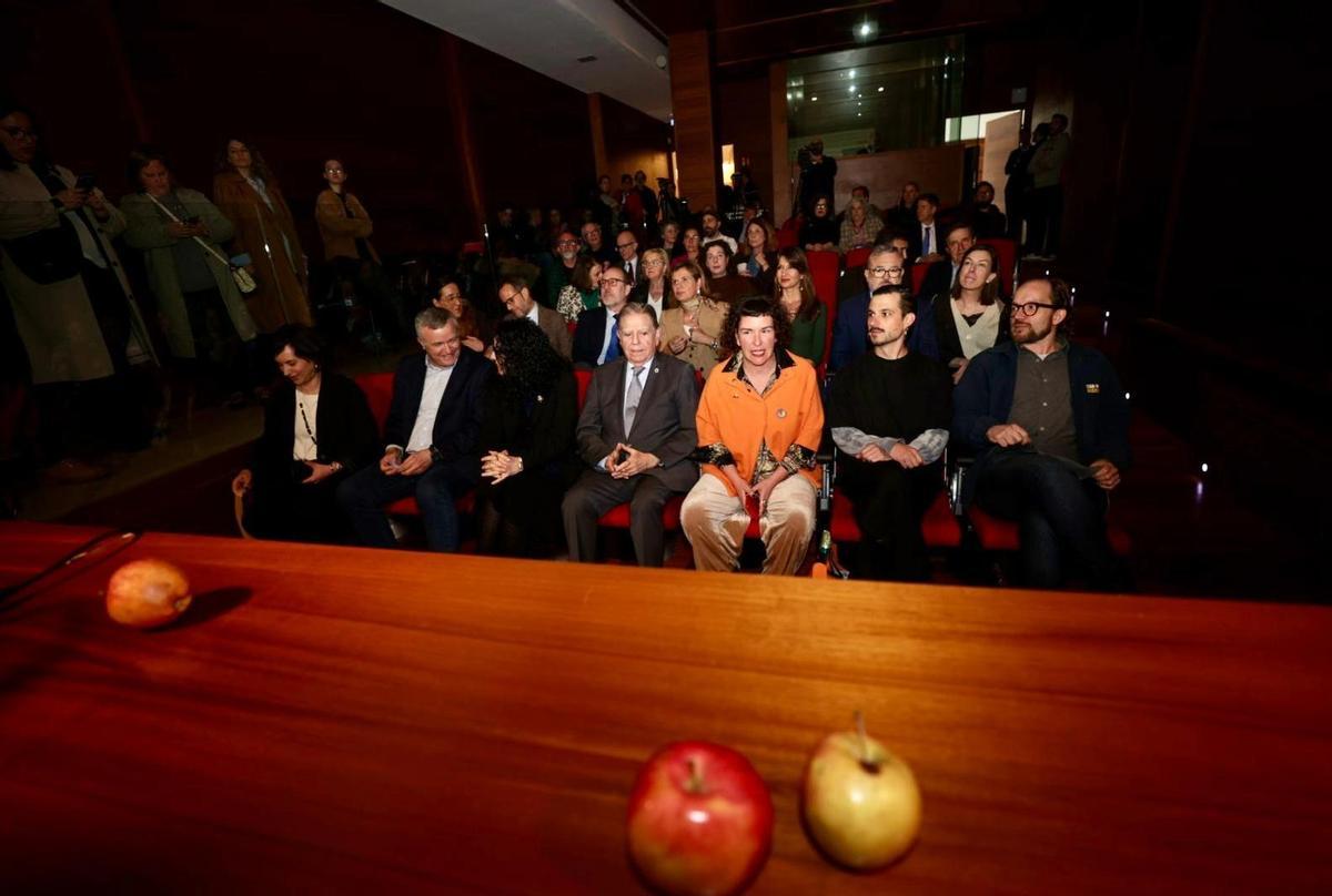 EN IMÁGENES: Así celebró Oviedo su paso a la final para ser Capital Europea de la Cultura
