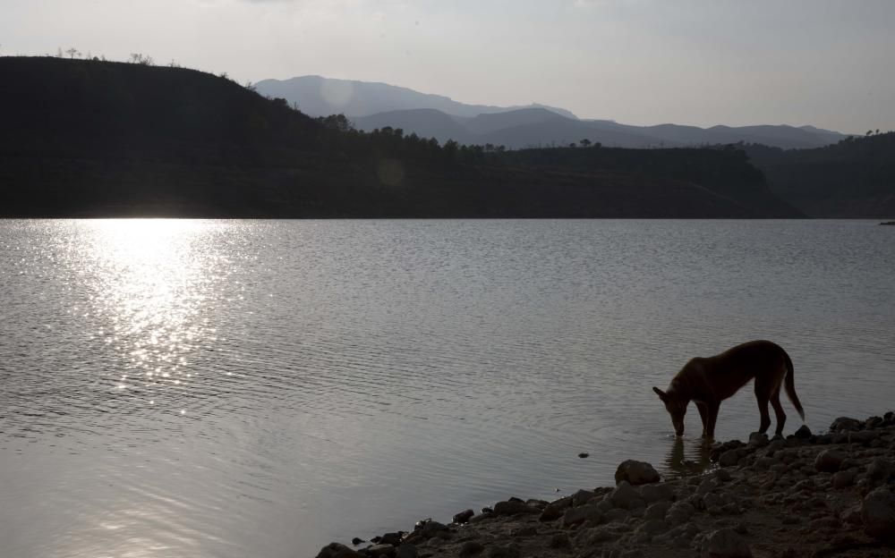 Sequía en el embalse de Forata