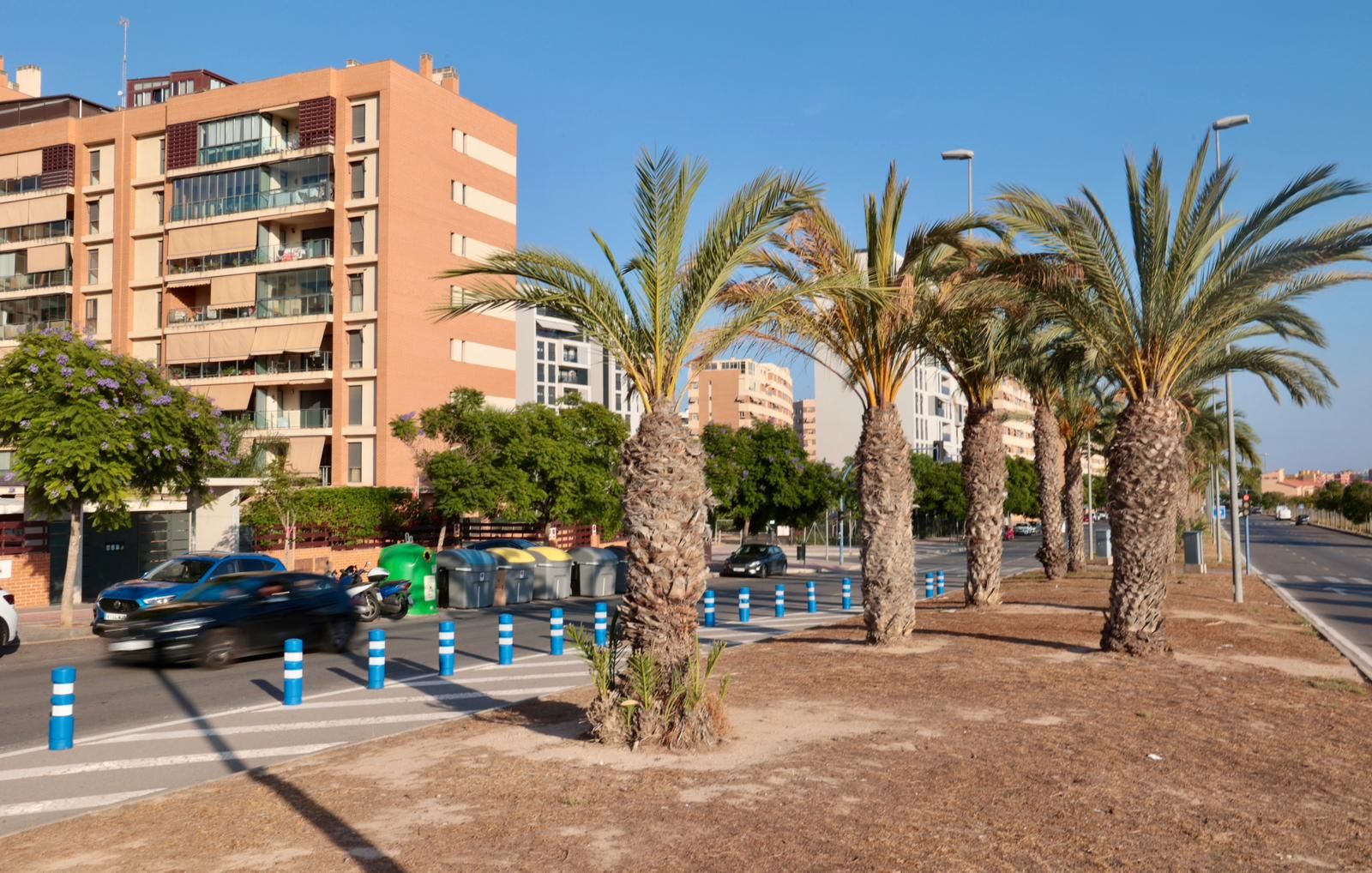 Así están las zonas verdes del PAU 1 en Alicante