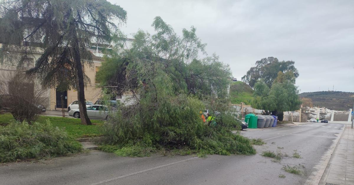 Calle cortada en Puente Genil.
