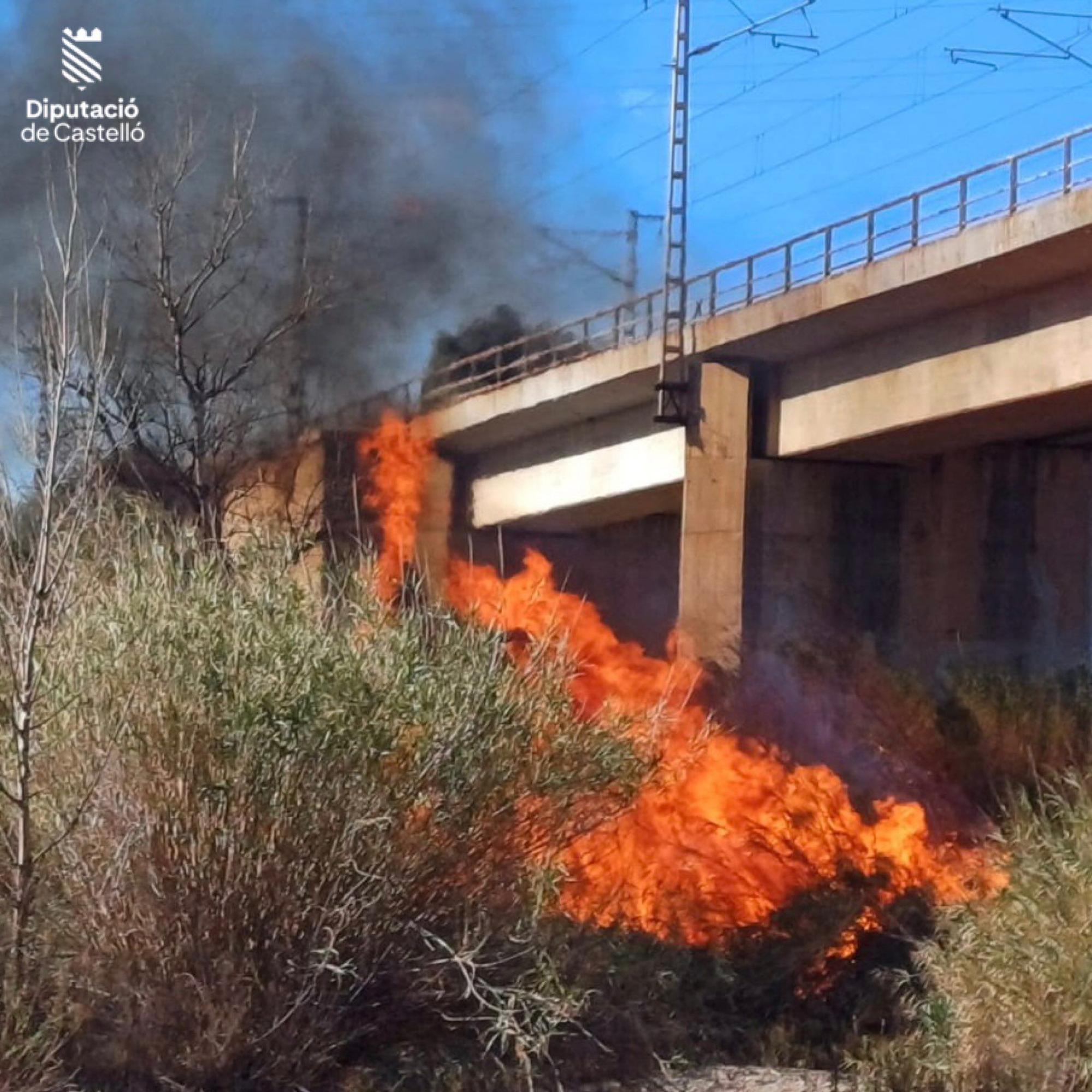 Visita de la alcaldesa al incendio en Almassora