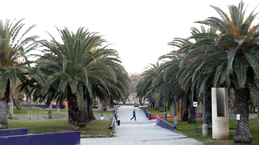 Jardines de la calle Doctor Lluch sobre los que se pretenden construir alrededor de 500 viviendas.