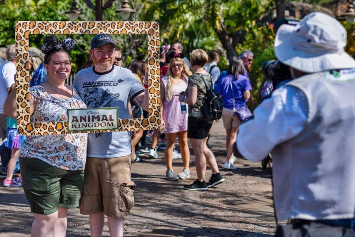 Animal kingdom