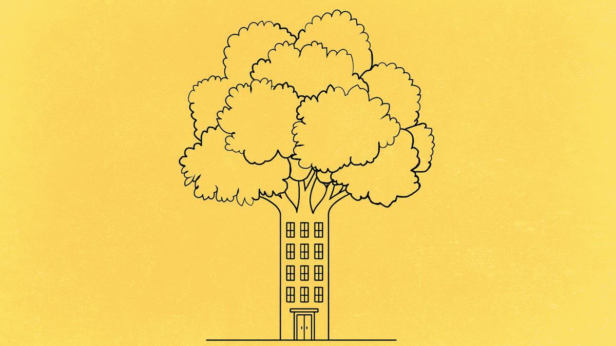 El futuro sostenible está en el bosque