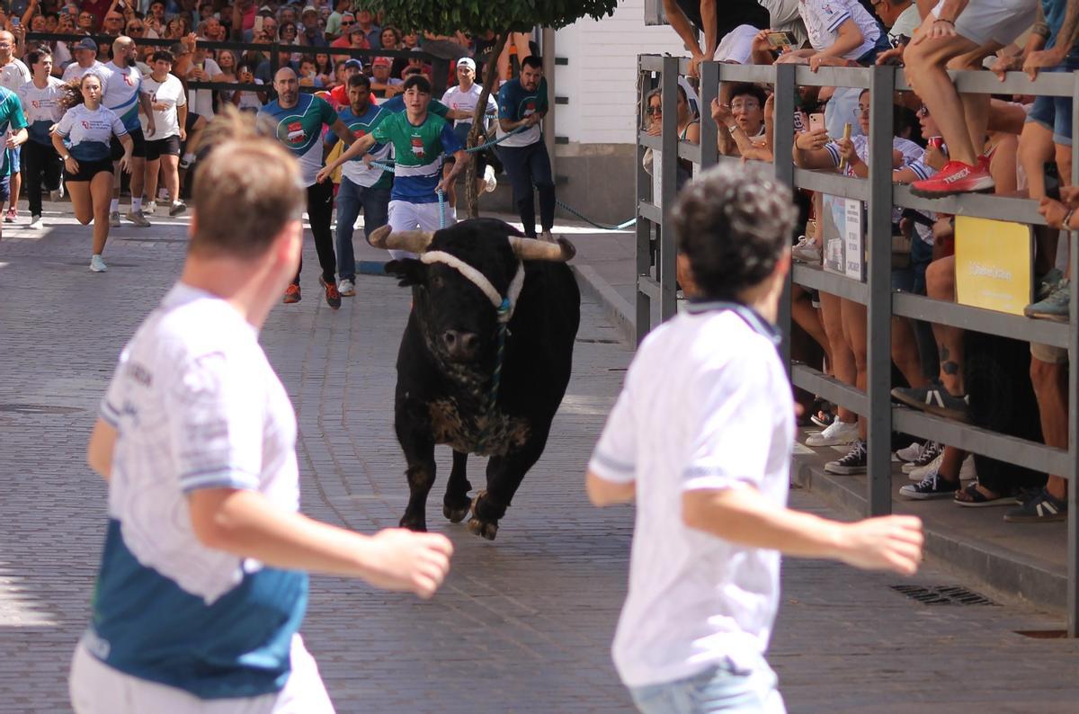 El toro de cuerda de Carcabuey, en imágenes