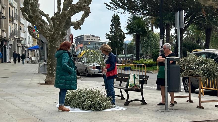 El único y necesario puesto del mercadillo