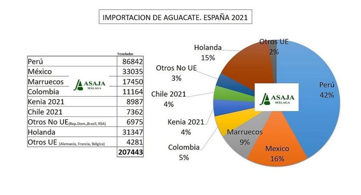 Cifras de importación de aguacates a España