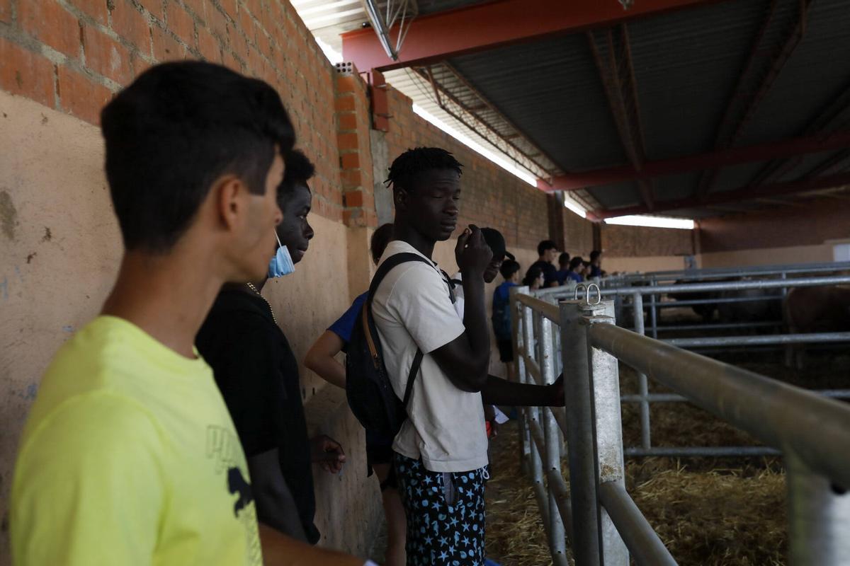 GALERÍA | Cerecinos del Carrizal, sede de un "Campo de Voluntariado"