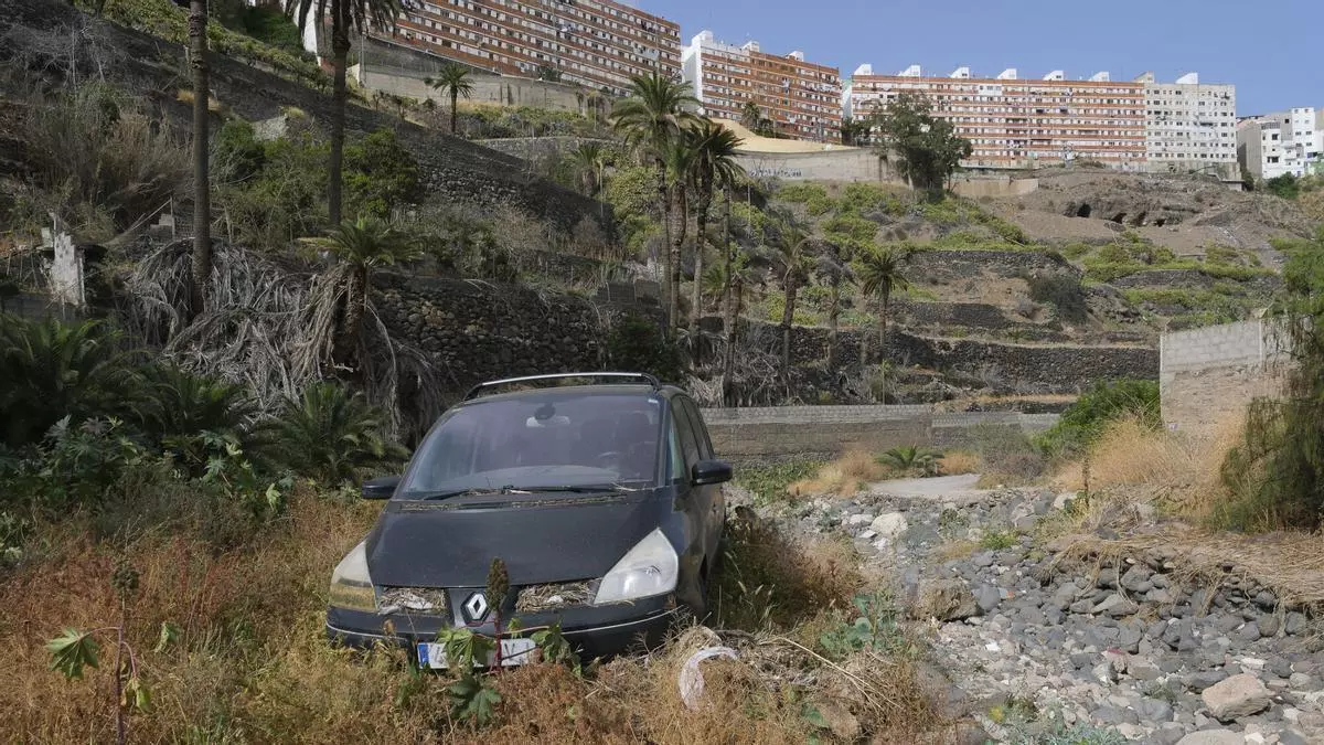 Adiós a las especies exóticas: el barranco Guiniguada tendrá una regeneración de su cauce
