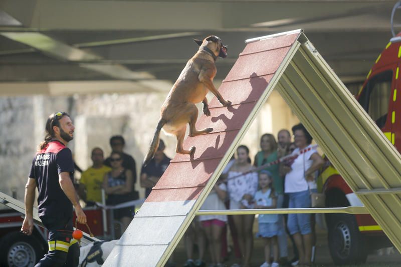 Feria Animalista en el cauce del Turia