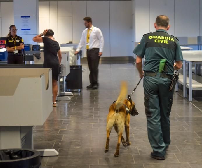 REPORTAJE UNIDAD CANINA AEROPUETO DE GRAN CANARIA