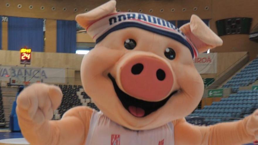 Chicha en el Fontes do Sar.