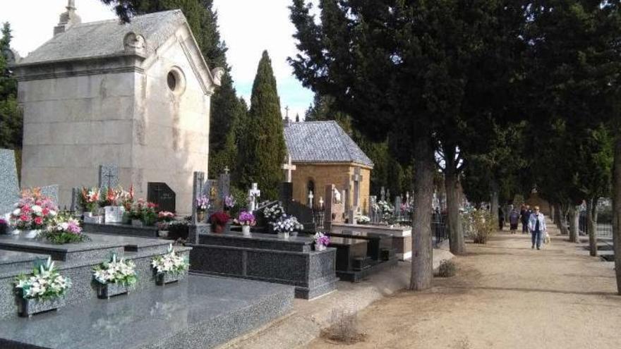 Una de las calles del cementerio municipal de Toro que hoy reabrirá sus puertas a los vecinos.