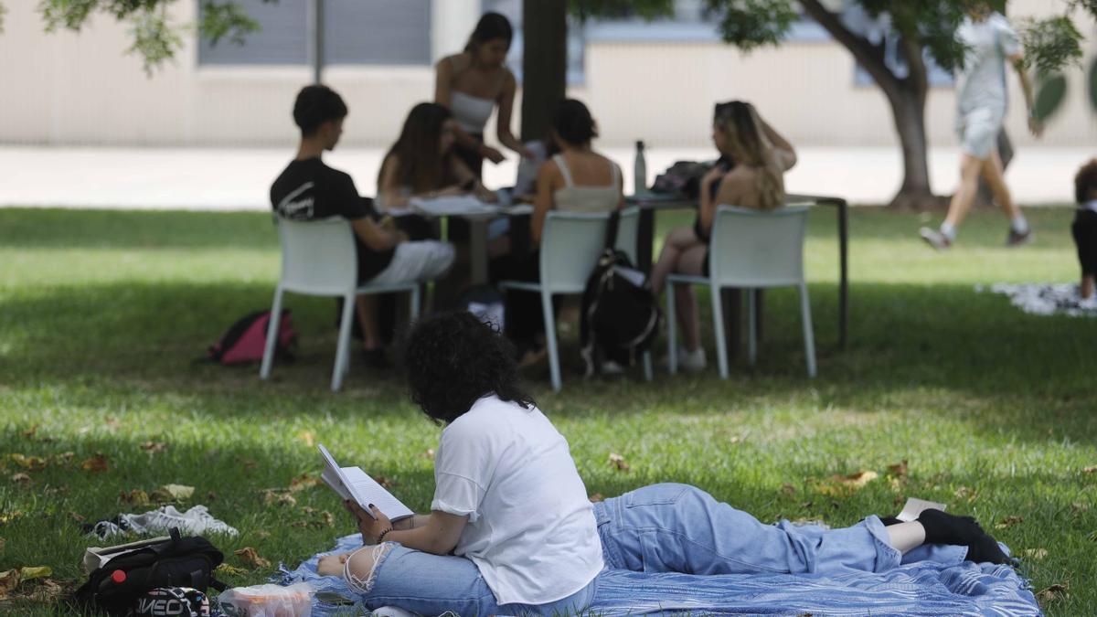 Estudiantes en uno de los campus universitarios de la Comunidad Valenciana