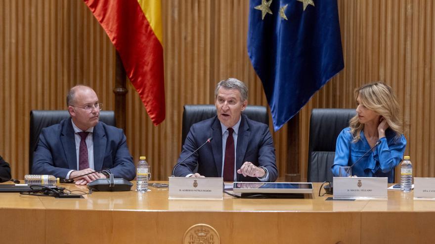 Feijóo rehabilita a Cayetana Álvarez de Toledo y la convierte en un puntal de Tellado en el Congreso