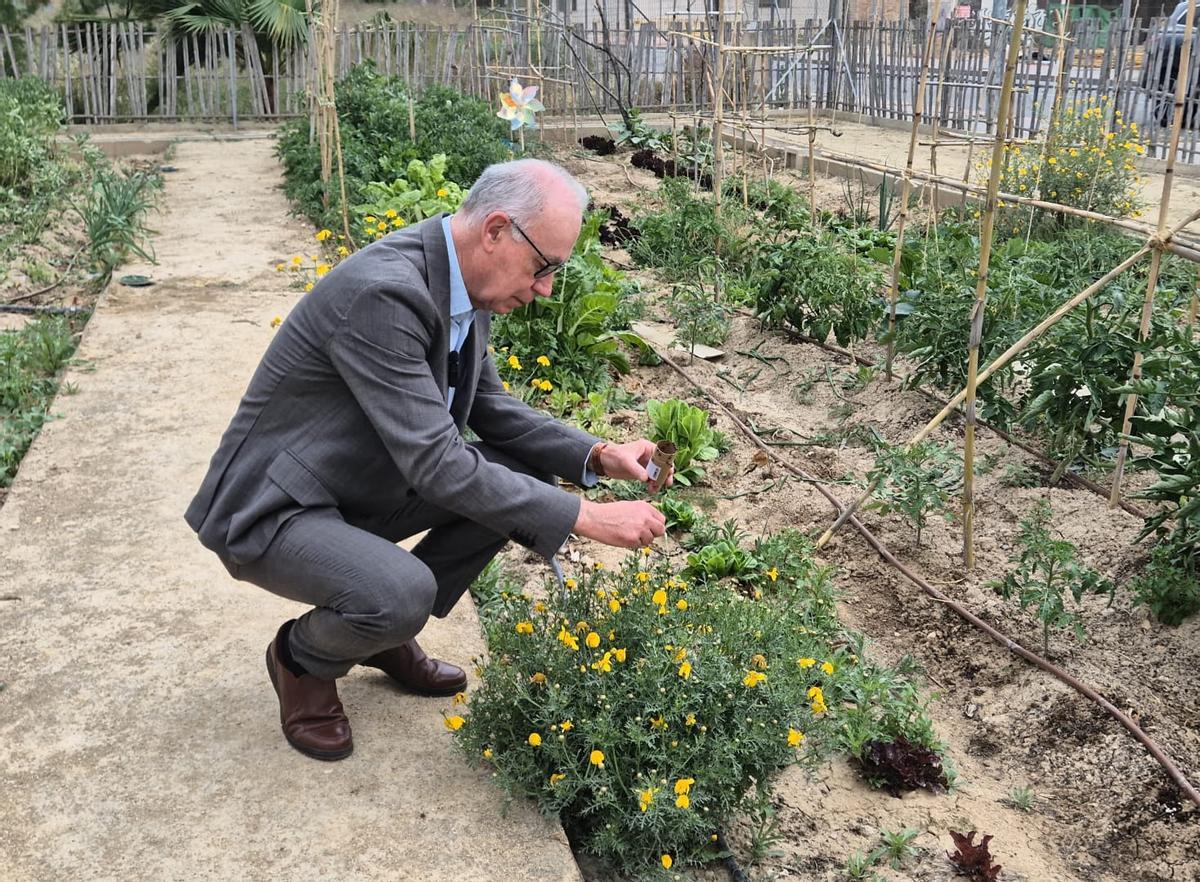 El concejal de Planificación Urbanística, Huerta y Medio Ambiente, Antonio Navarro, participa en la suelta de los primeros ejemplares.