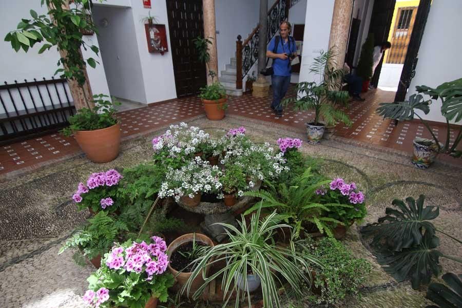 Los Patios de Córdoba: Centro / Judería