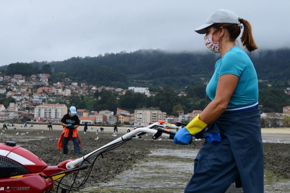 Mariscadores de Cangas y Moaña, en mar y en tierra