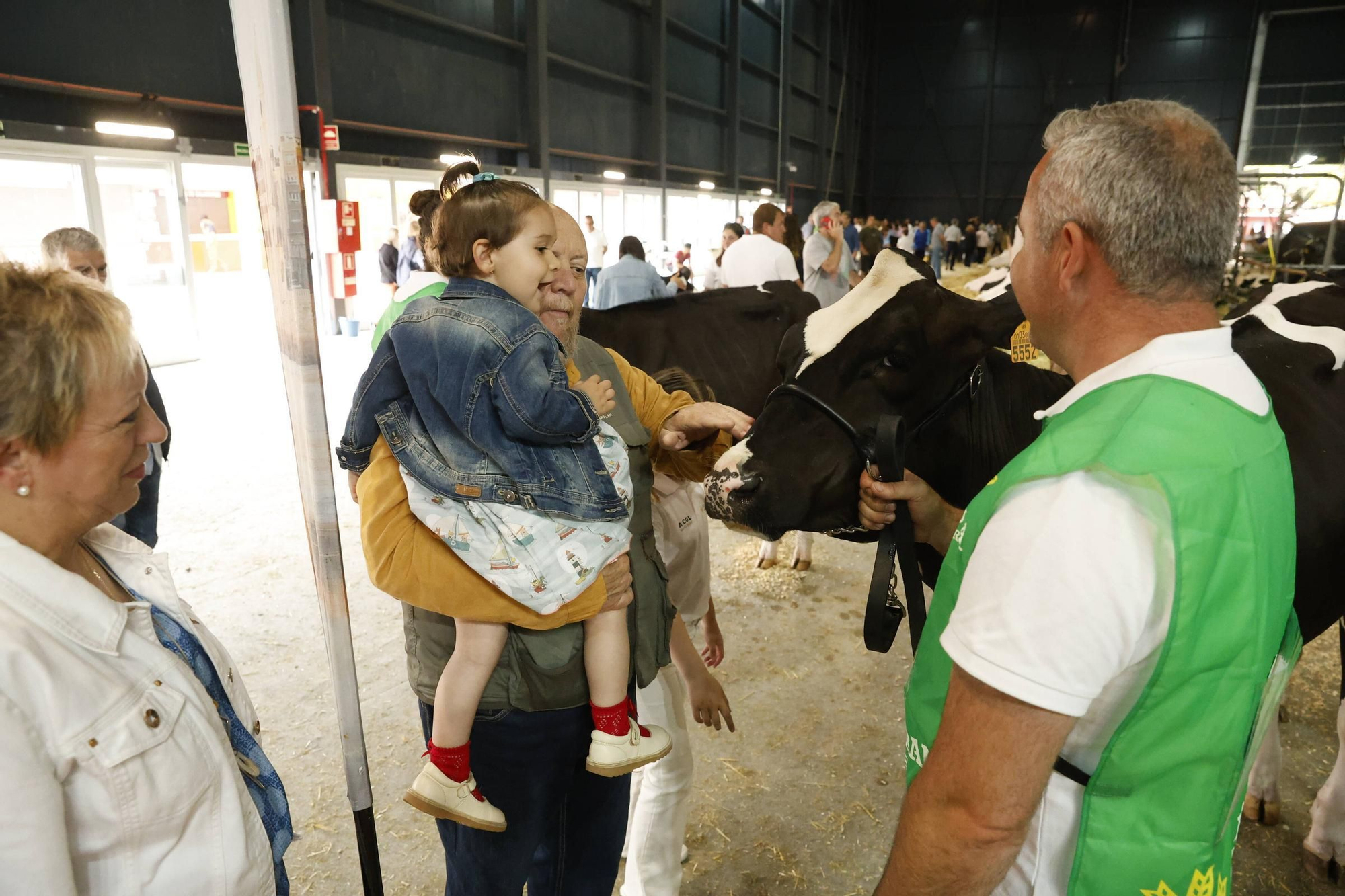 El último día de la Feria de San Antonio en Gijón, en imágenes