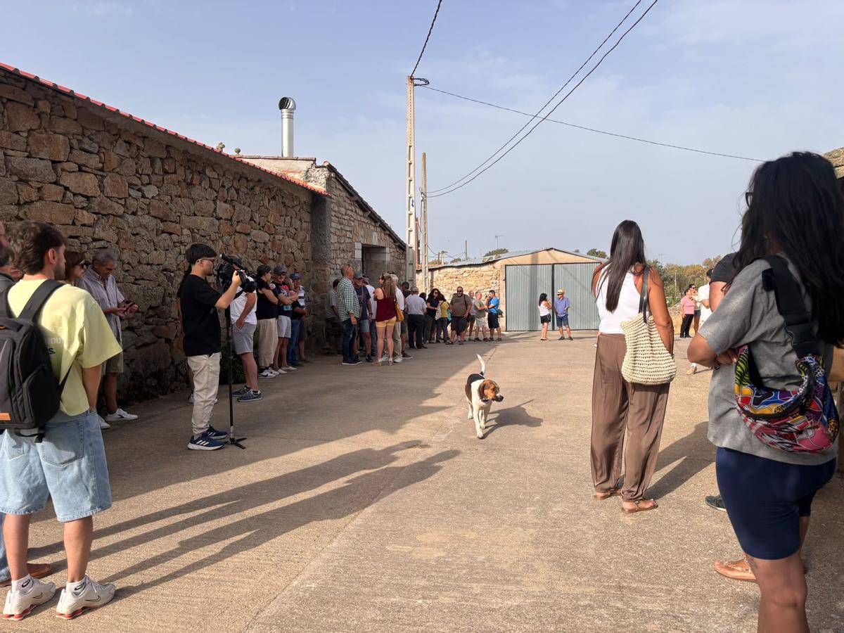 GALERÍA |  La plataforma "Sayago Renace" da sus primeros pasos tras el incendio