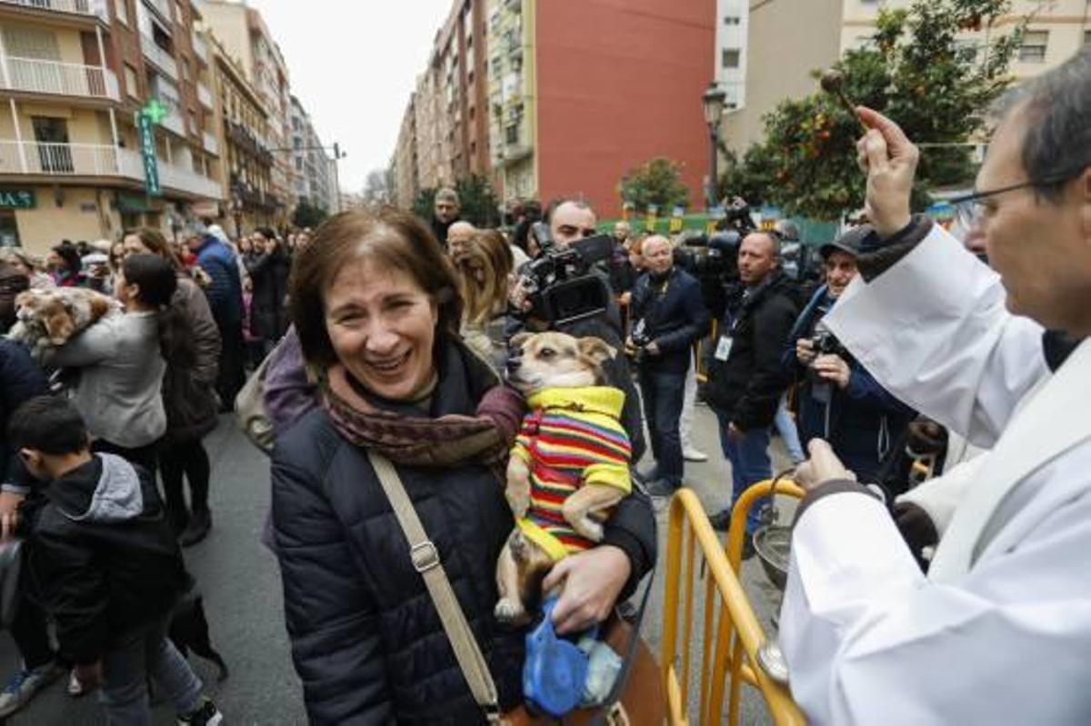 Sant Antoni crece en la jungla del asfalto